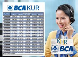 kurs bca